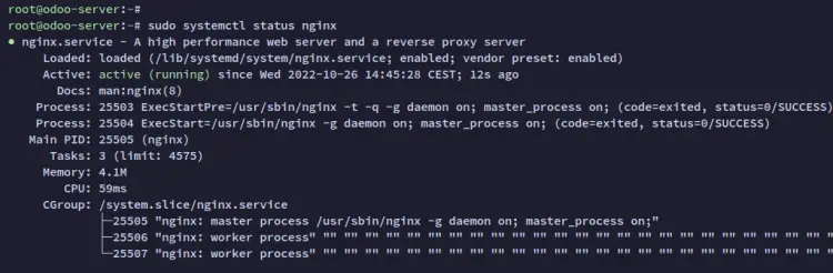 проверка nginx