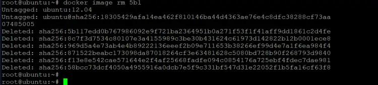 удалить образ ubuntu:12.04