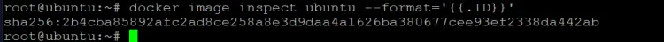 Вывести ID образа ubuntu