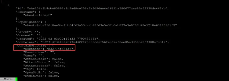 Команда docker inspect