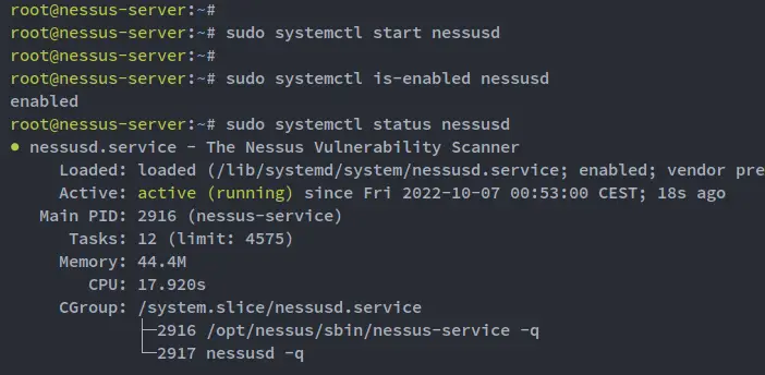 проверка службы nessusd